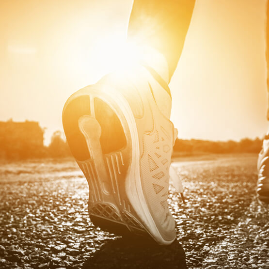 Thermoplastic Elastomer Application